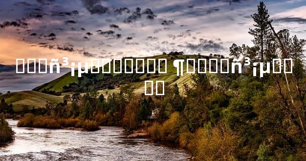 ���񳡵ز������ ¶����񳡵ز���